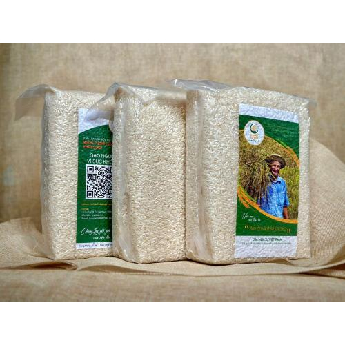 Gạo Nàng Thơm Cồn Vĩnh Quới – Túi 2kg