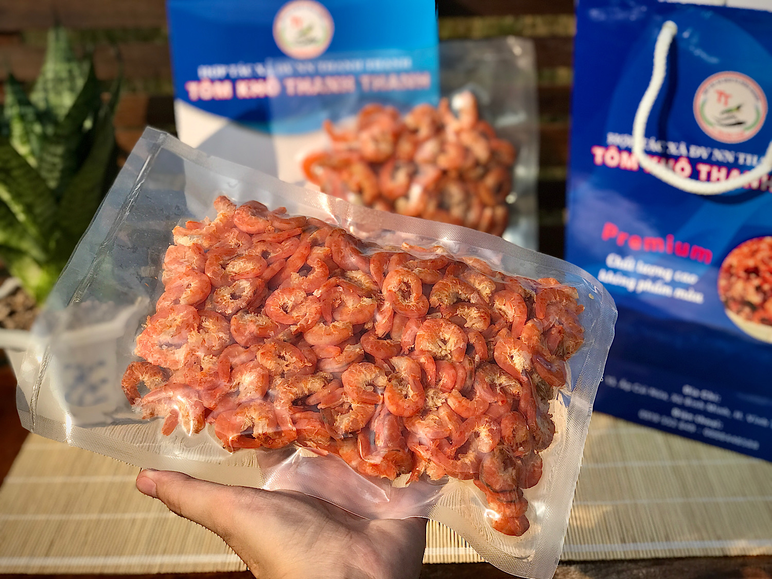 Hỗ trợ giảm cân