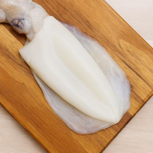 Mực lá là gì?