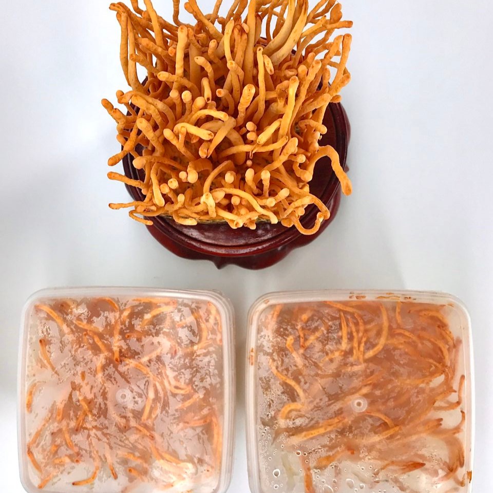 Bước 1: Chuẩn bị nguyên liệu