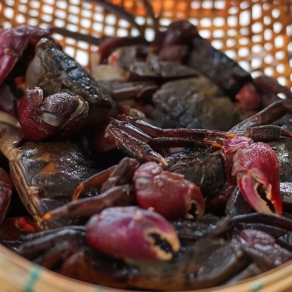 Nguyên liệu