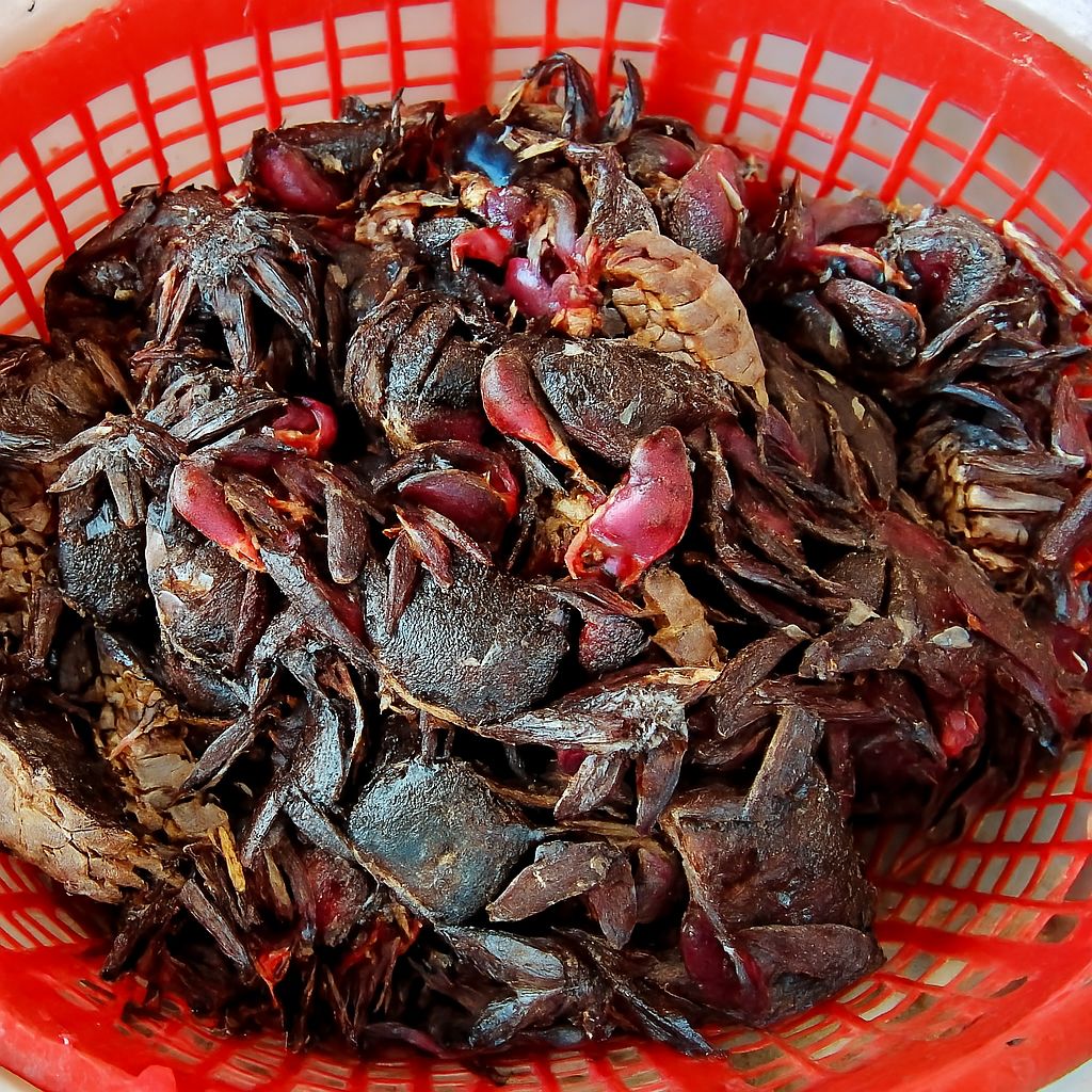 Chọn ba khía có gạch nhiều