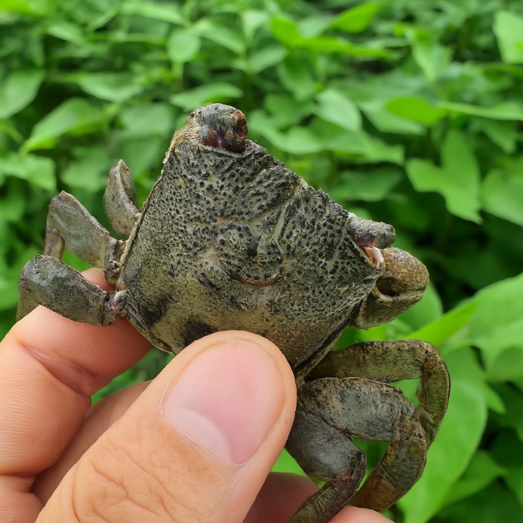 Màu sắc