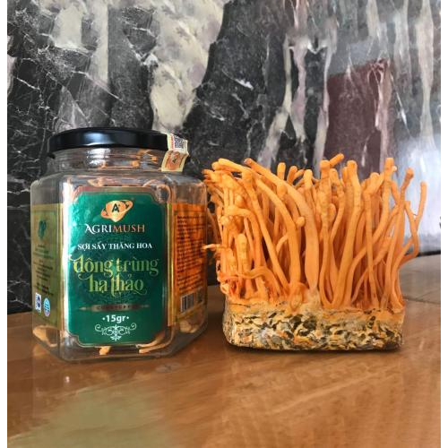 Thông tin về đông trùng hạ thảo