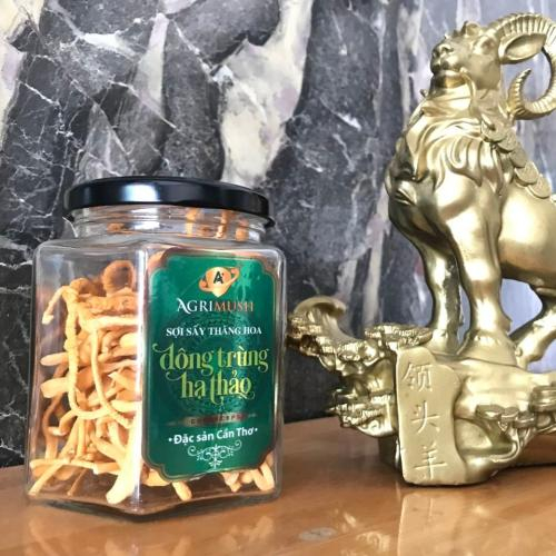 Tăng sức đề kháng và miễn dịch