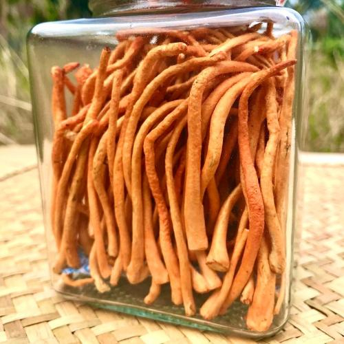 Nên dùng bao nhiêu đông trùng hạ thảo mỗi ngày?