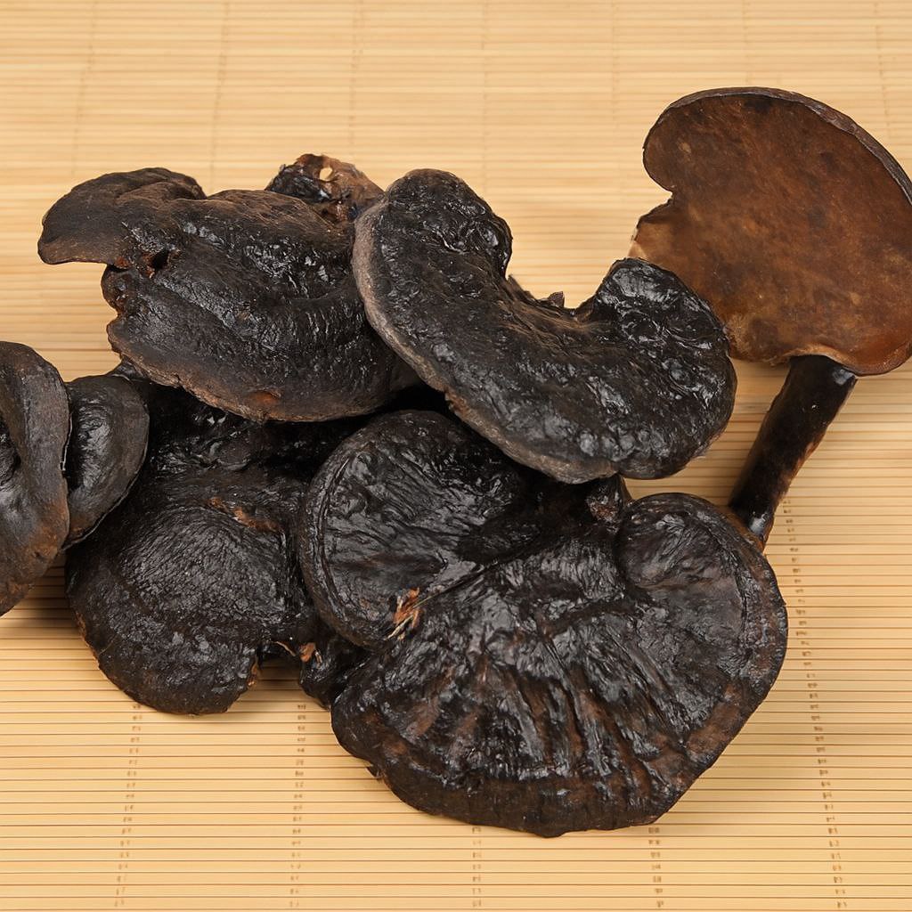 Tham khảo bác sĩ