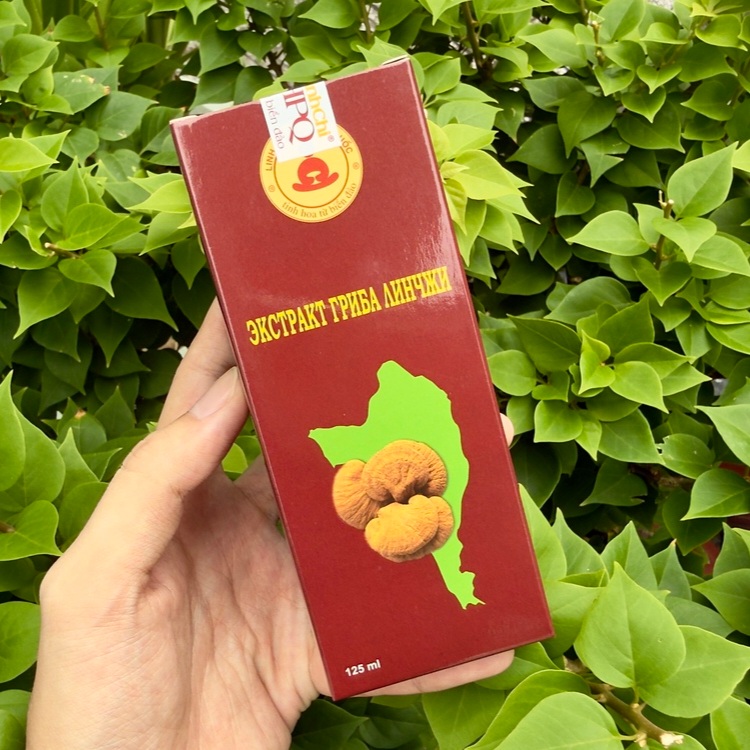Hỗ trợ gan