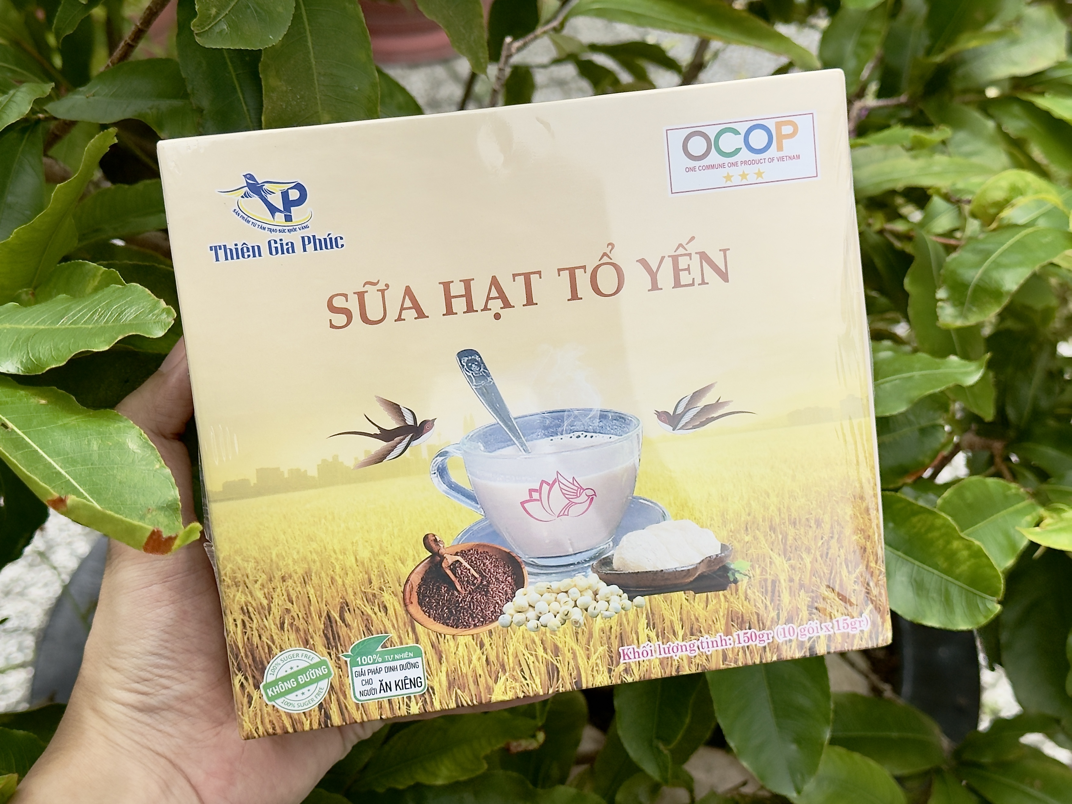 Ai không nên dùng sữa hạt tổ yến?