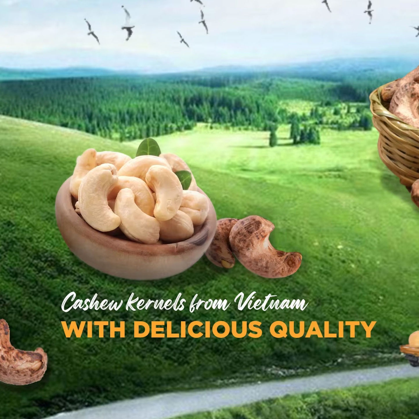 Hạt điều có chất dinh dưỡng gì?