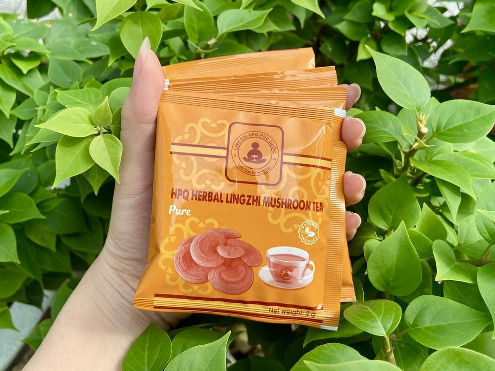 Dễ sử dụng