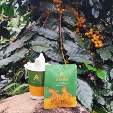 Điểm yếu của giống Bourbon