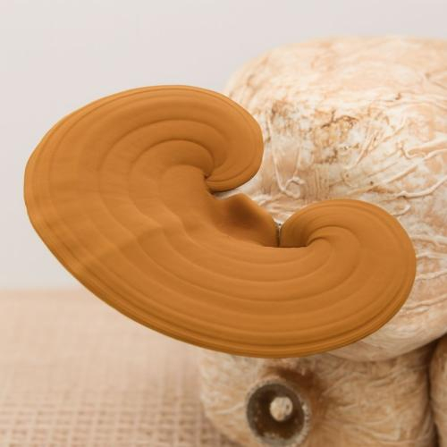 Làm đẹp da, chống lão hóa