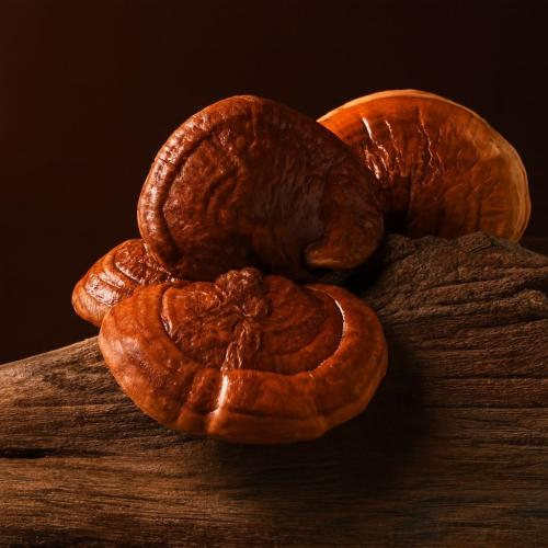 Lợi tiểu, giải độc