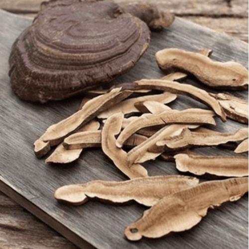 Nấm Linh Chi Núi Hàn Quốc Có Tác Dụng Gì?