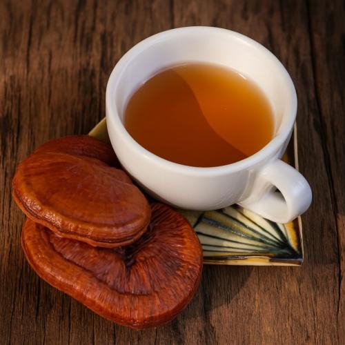 Thời điểm nào tốt nhất để uống nấm linh chi?