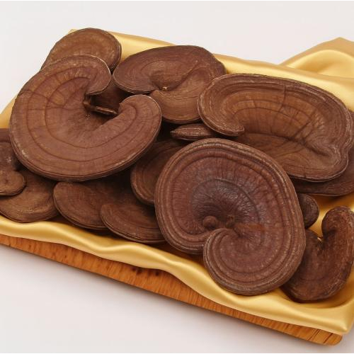 Không sử dụng liên tục