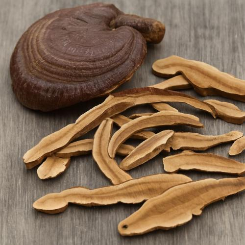 Khái niệm về nấm linh chi