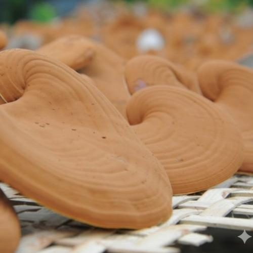 Thương hiệu và độ uy tín