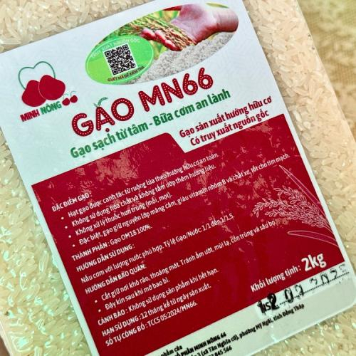 Thời Điểm Nào Ăn Cơm MN66 Tốt Nhất?