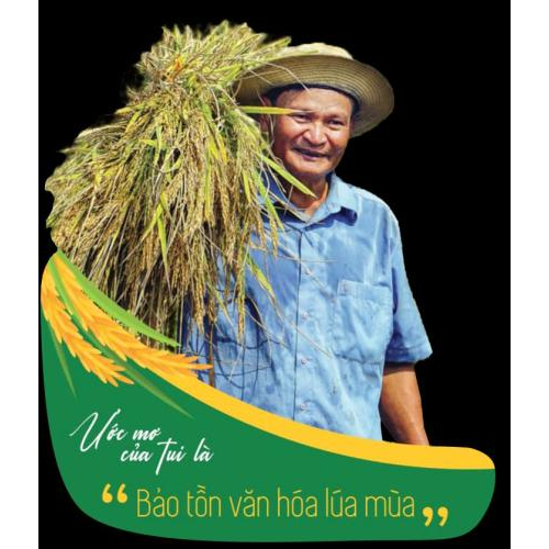 Gạo lúa mùa Tư Việt là gì?