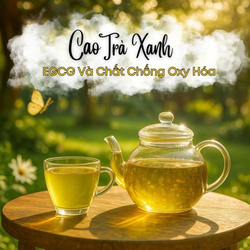 Hé Lộ Thành Phần EGCG Và Chất Chống Oxy Hóa Trong Cao Trà Xanh Hòa Tan