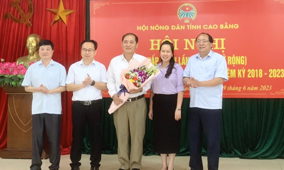 Một số hoạt động tiêu biểu