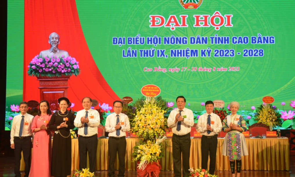 Sơ lược chức năng, nhiệm vụ