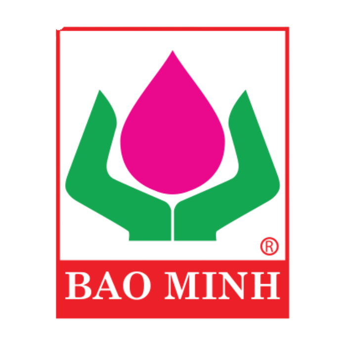 Công Ty Bảo Minh Bình Định