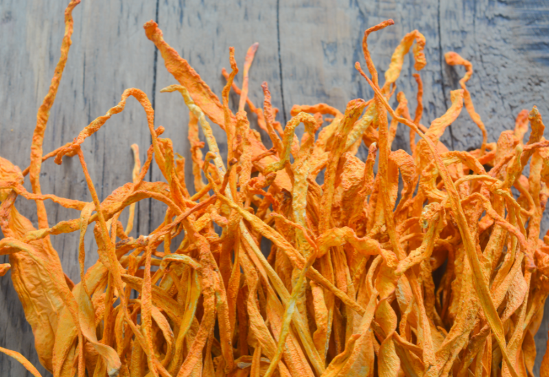 Nguồn gốc và đặc điểm