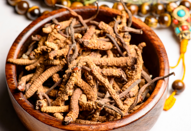 Hệ miễn dịch và vai trò đối với sức khỏe