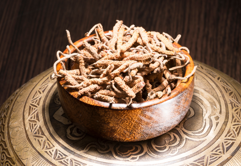 Mua phải Đông trùng hạ thảo giả hoặc kém chất lượng