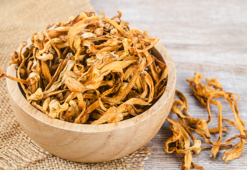 Đông trùng hạ thảo dành cho người tập thể thao