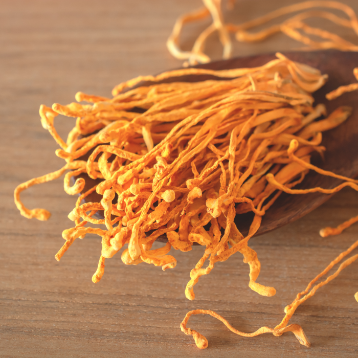 So Sánh Giữa Đông Trùng Hạ Thảo Và Các Loại Dược Liệu Quý Khác