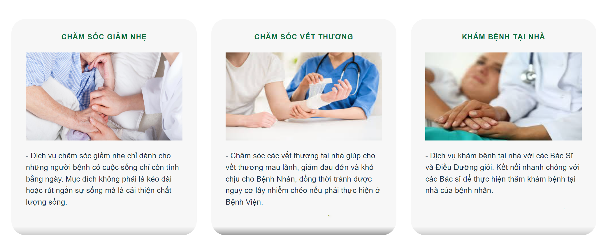 1. Dịch vụ chính