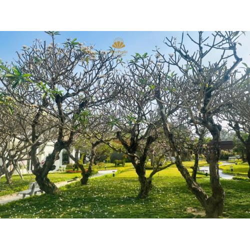 MerPerle Núi Sam Resort