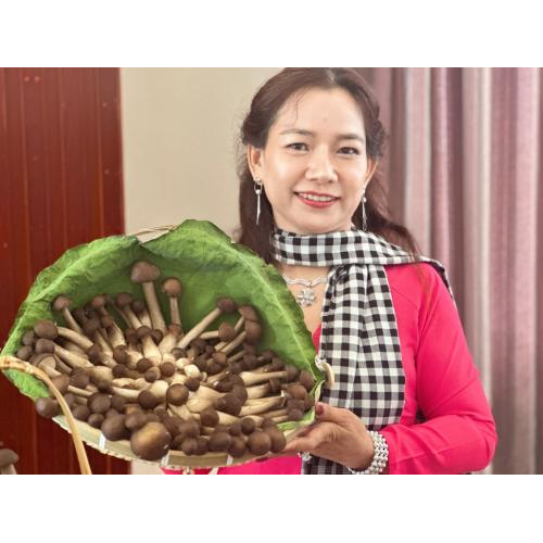 Hợp Tác Xã Nông Nghiệp Tà Đảnh