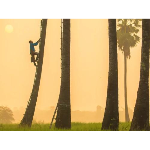 Công Ty Cổ Phần Palmania