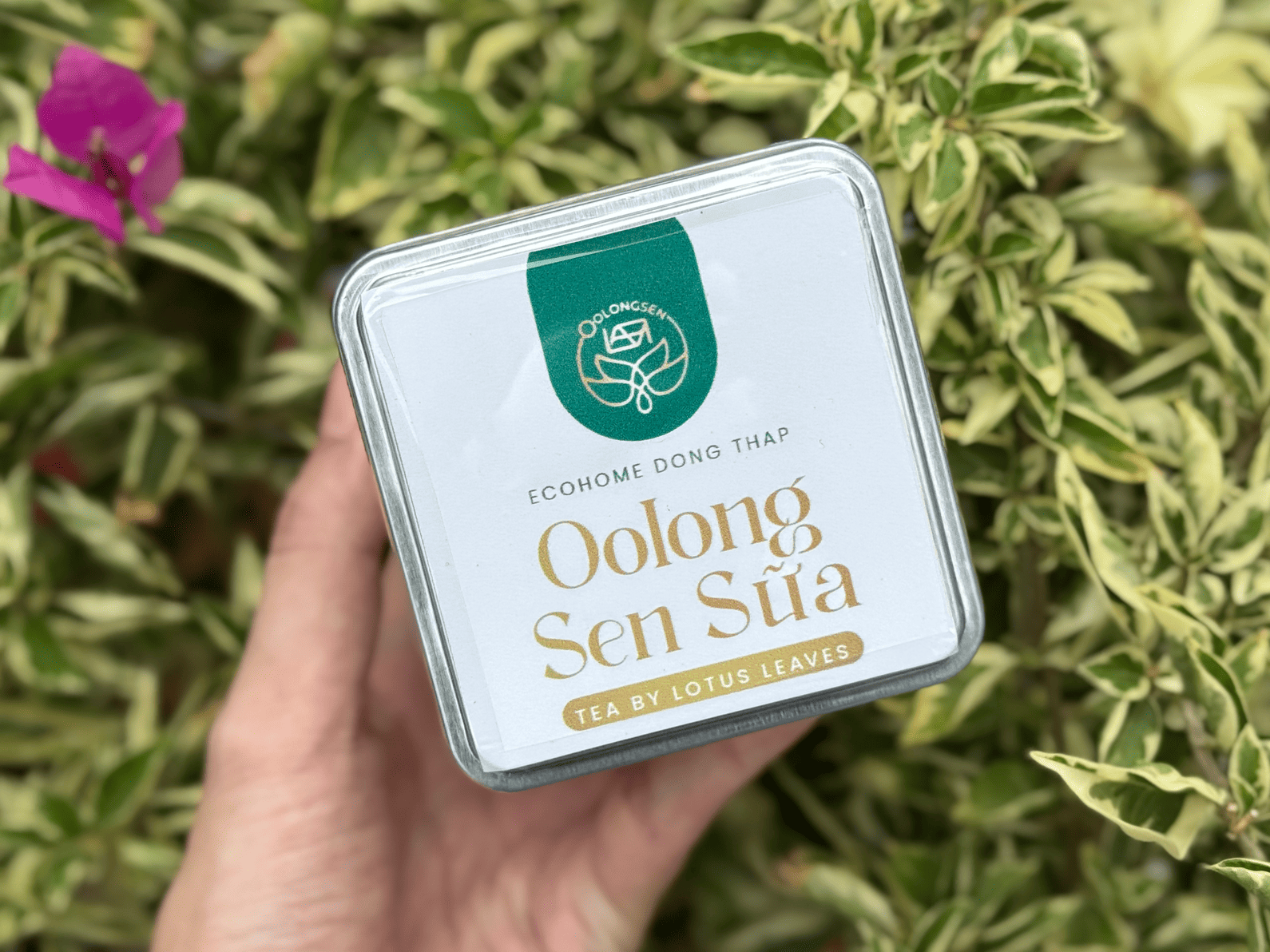 Giới thiệu sản phẩm