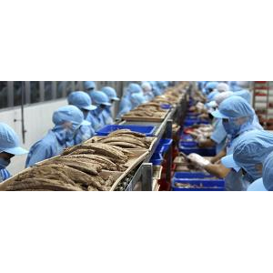 Công Ty Cổ Phần Thương Mại Kiên Giang