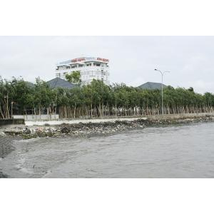 Hộ Kinh Doanh Nhà Hàng Năm Nhỏ