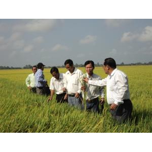 Công Ty TNHH Thanh Xuân