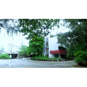 Công Ty Cổ Phần Xi Măng Hà Tiên Kiên Giang