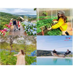 Tour Đà Lạt 3 ngày 3 đêm