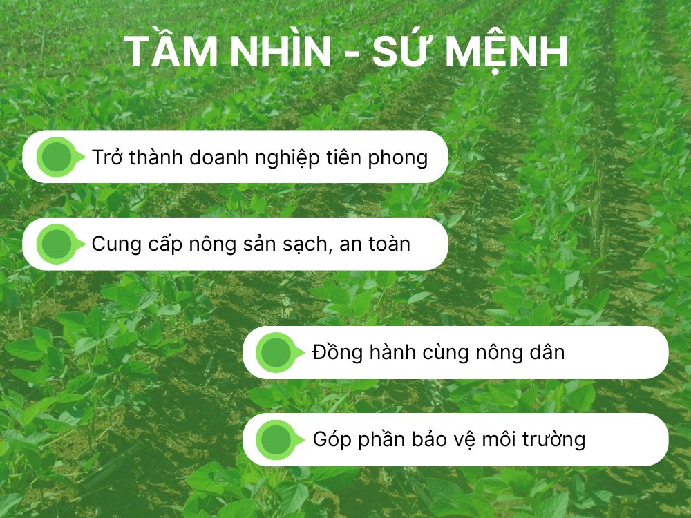 Tầm nhìn - Sứ mệnh