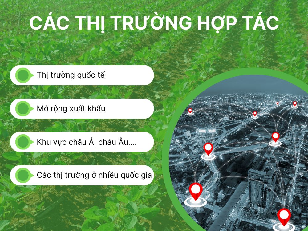 Các thị trường hợp tác