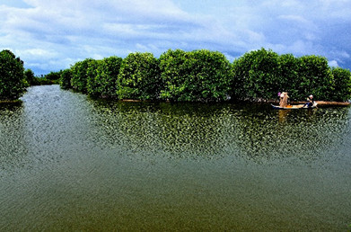 3. Tham quan Trang trại Nuôi trồng Thủy sản